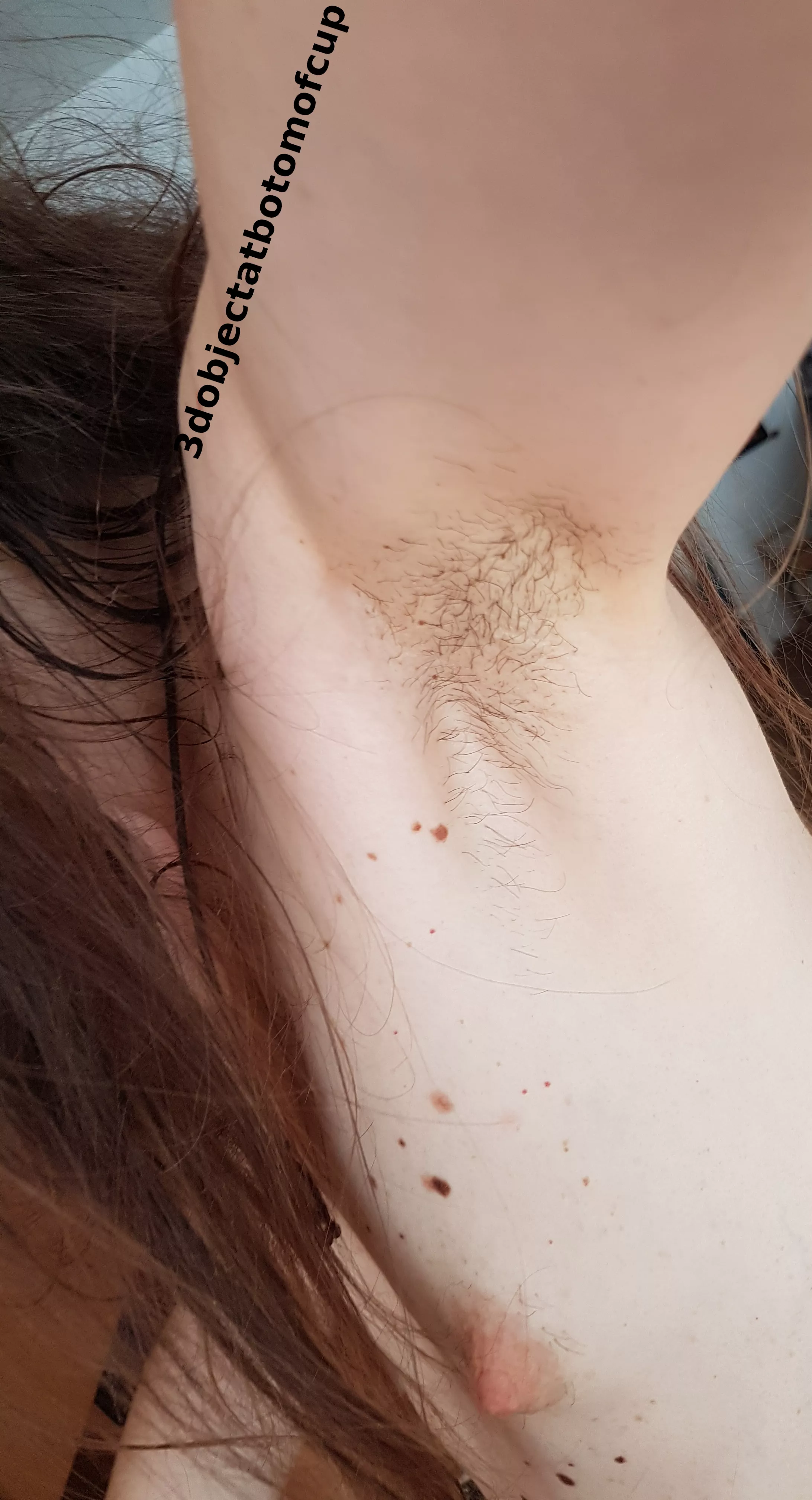 Wife posted by 3dobjectatbotomofcup