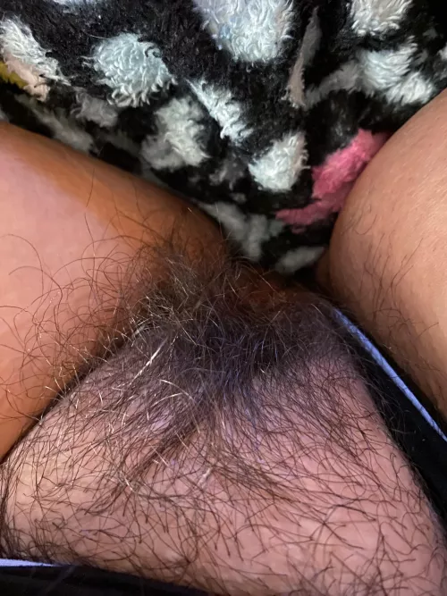 6 months without shaving by Recent_Pattern_5424