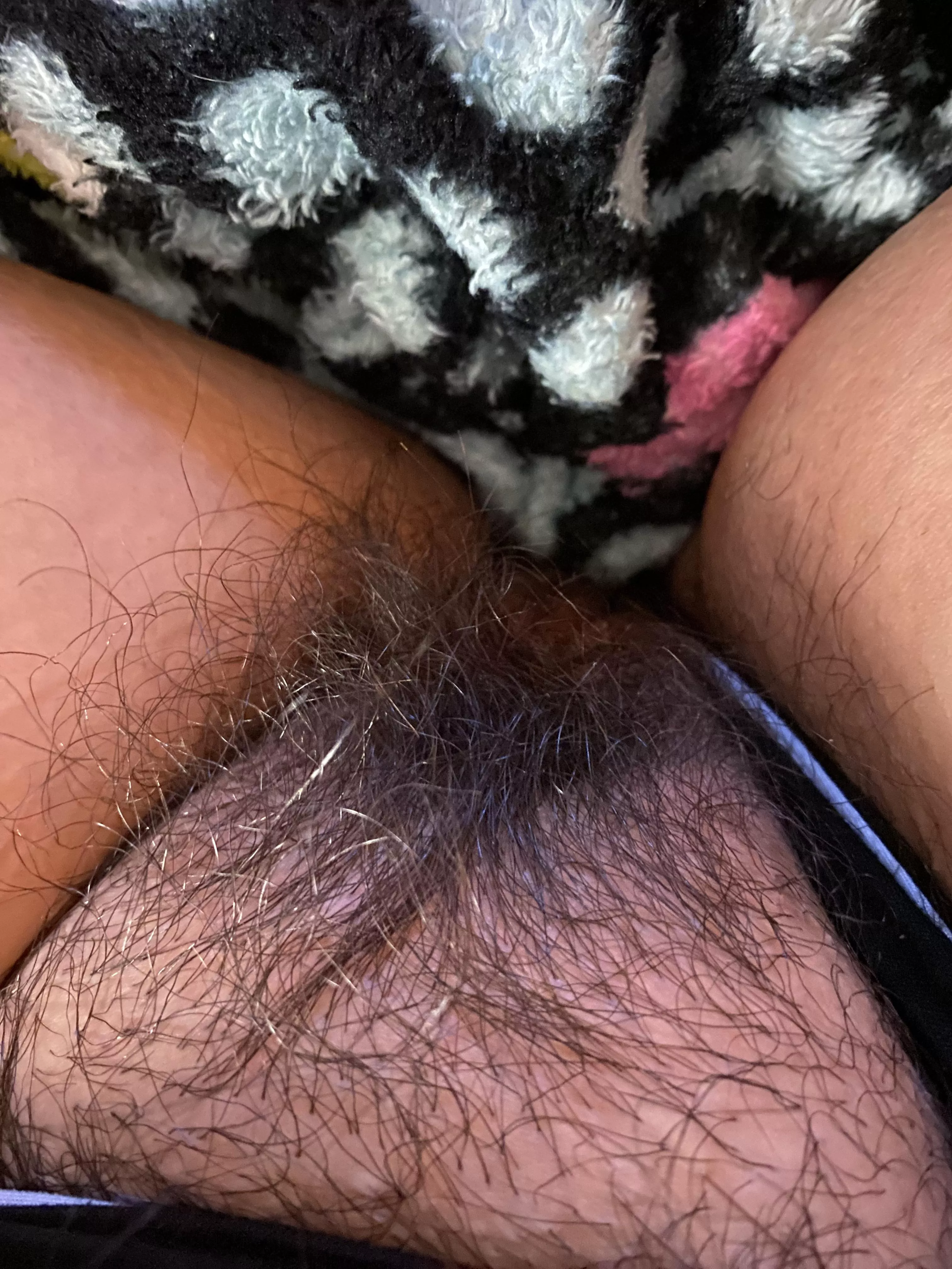 6 months without shaving posted by Recent_Pattern_5424