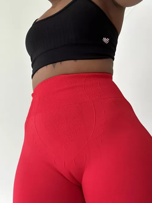 Camel 🐪 by ninjanextdoorr