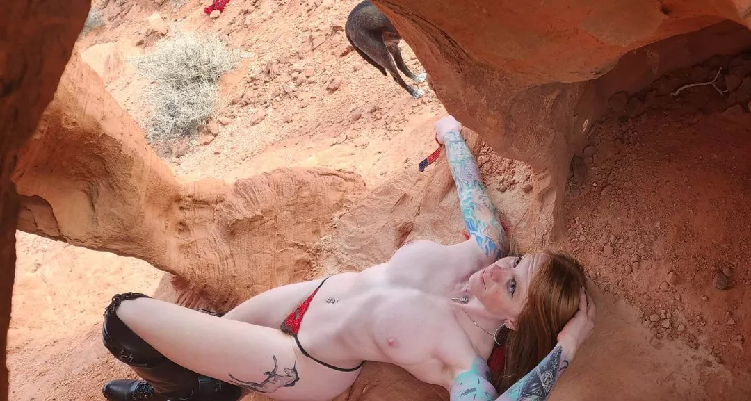 Chilling in rocks posted by ababypinecone