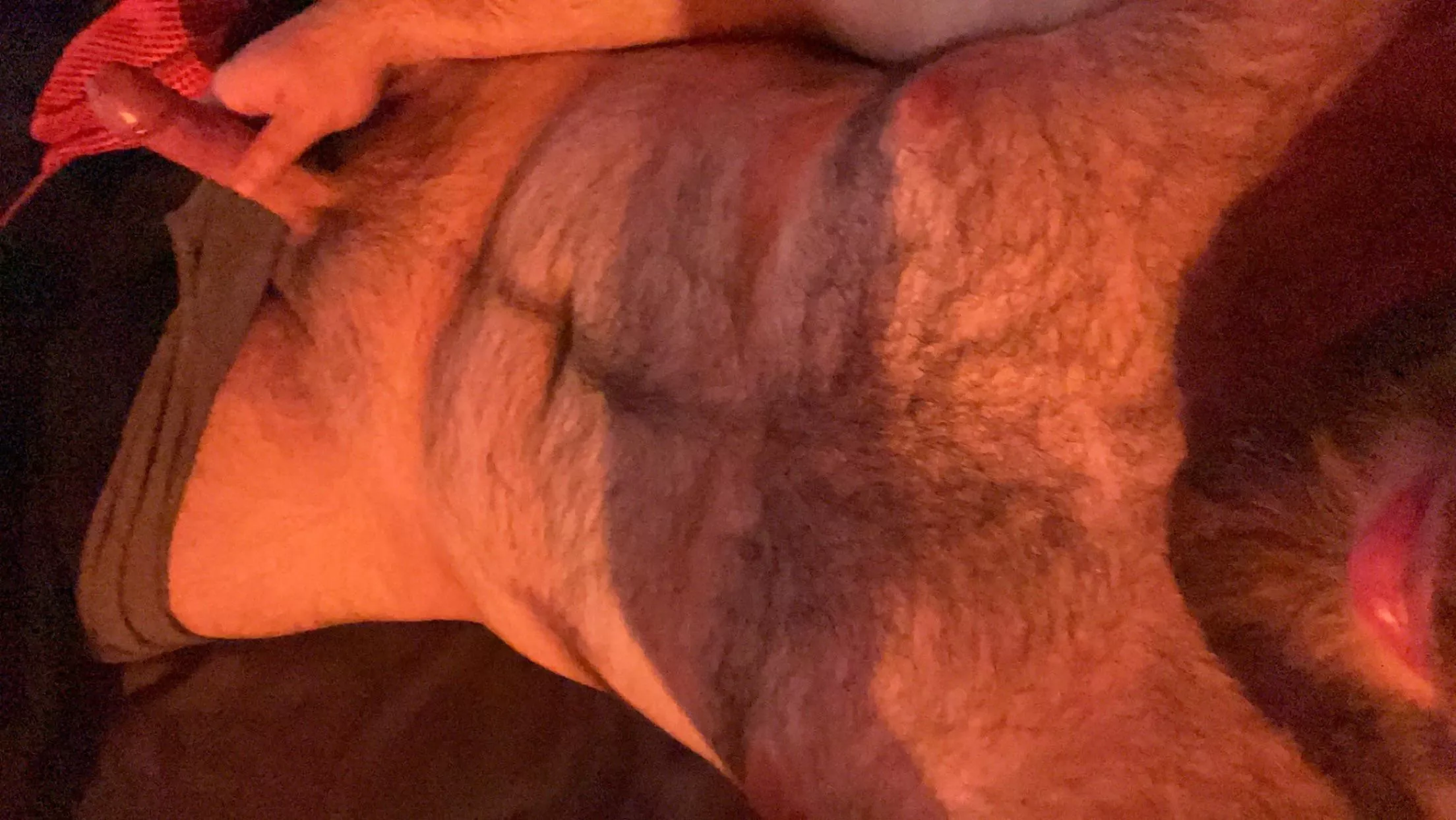 Come play😜 posted by Bbw_Lover28