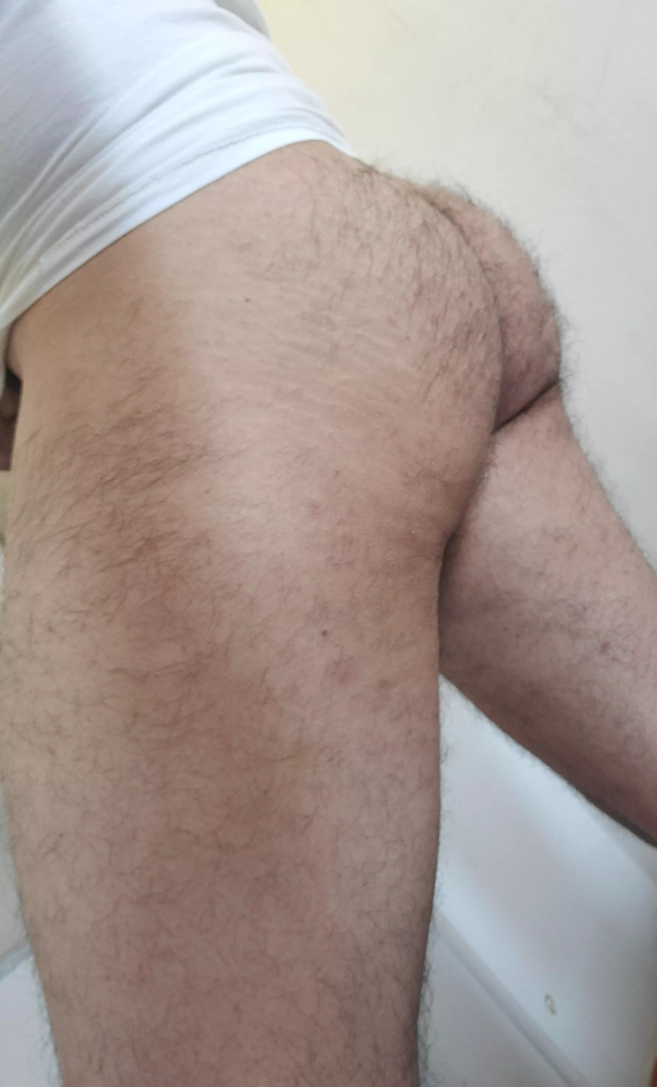 do you like it hairy? posted by Thr0wawayyay4