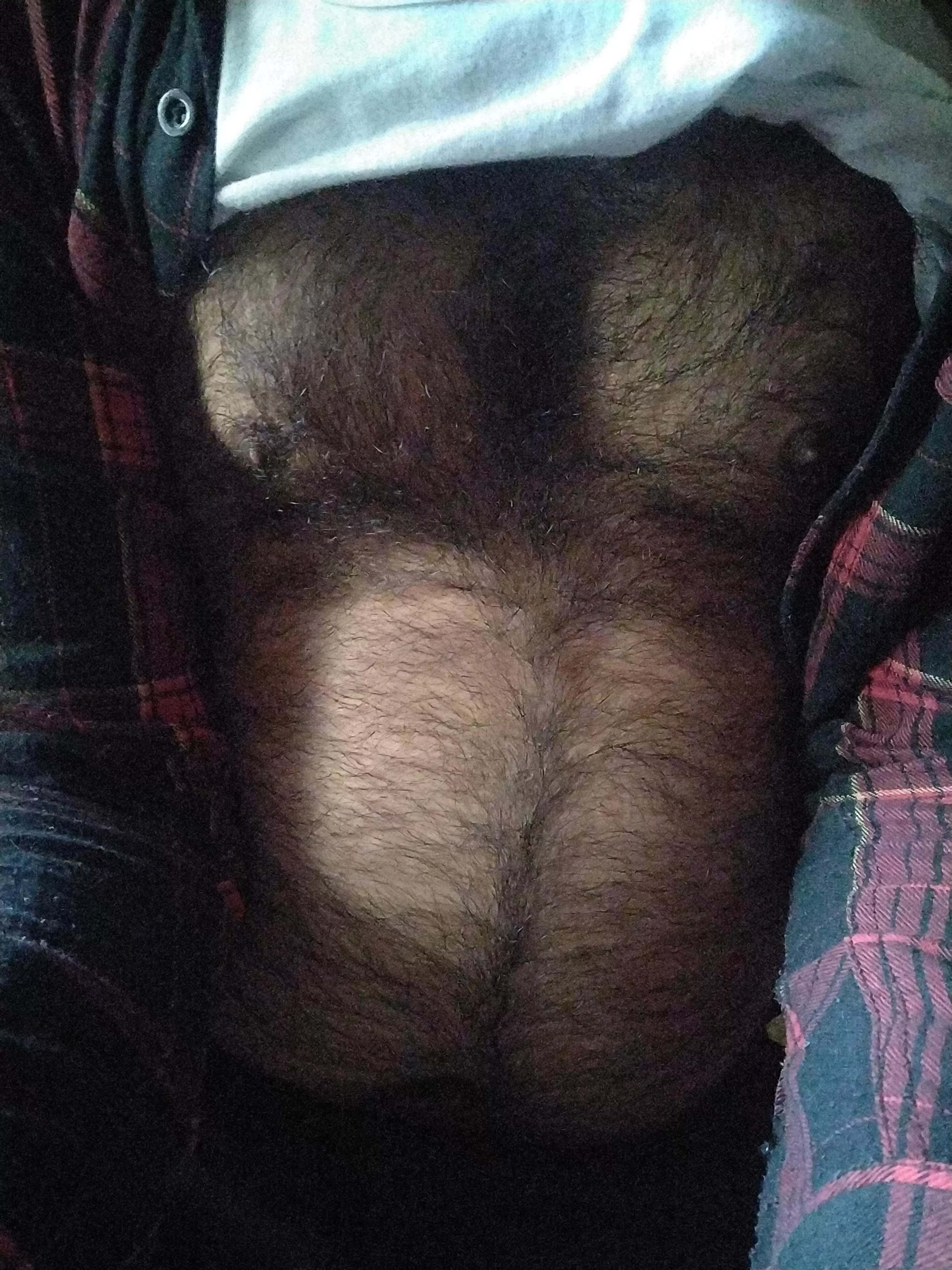For hairy chest lovers posted by Indian_hairy