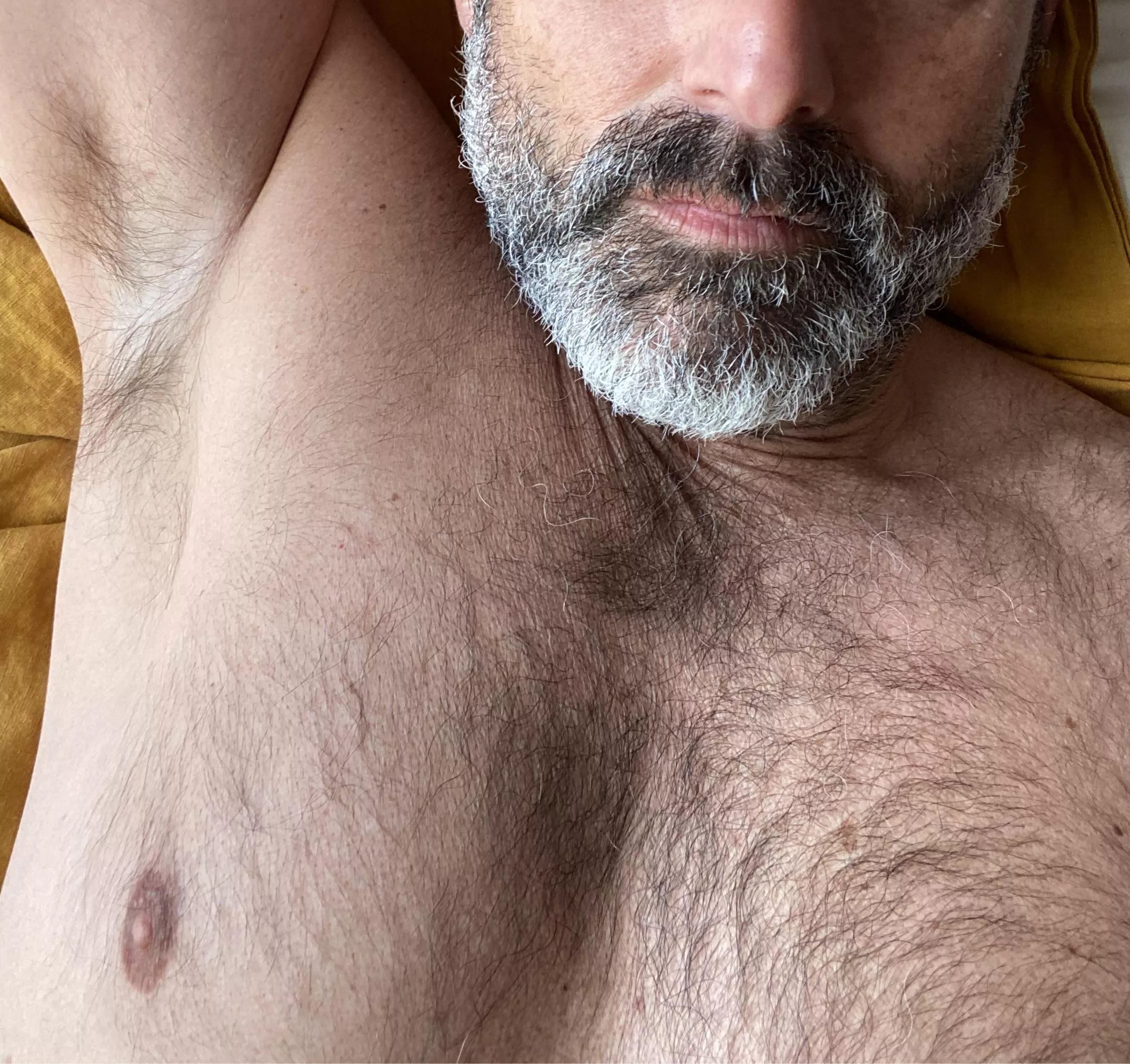 furry posted by skyhawk888