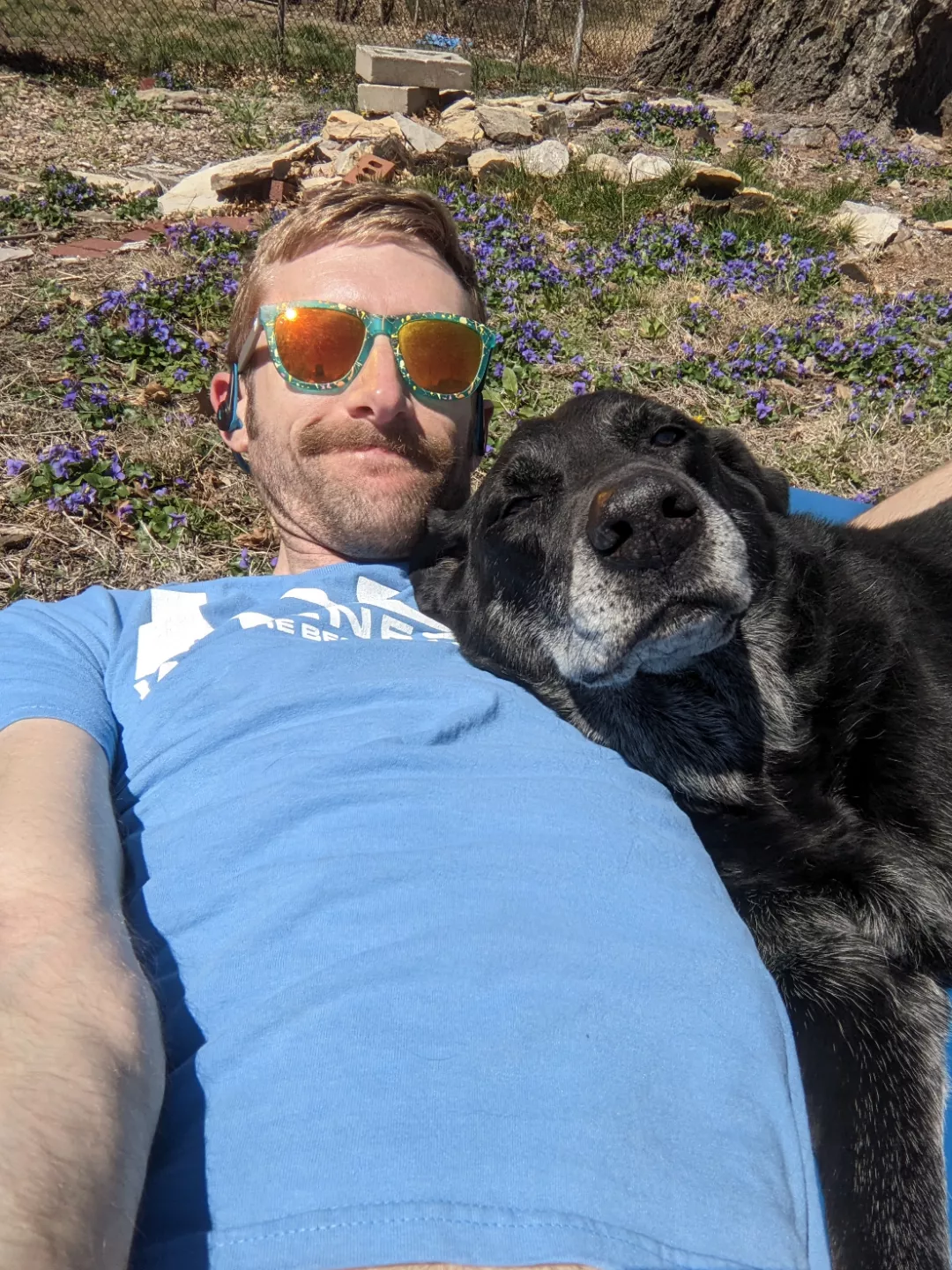 Hoping some basking helps my mood. Baxter seems to be content. posted by putacorkinit