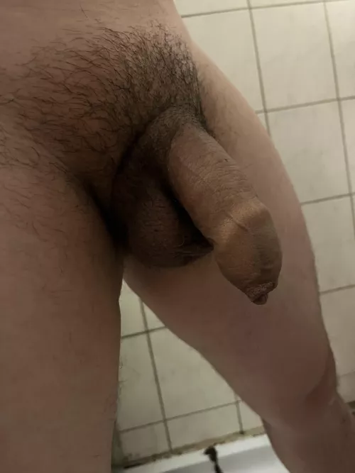 I might show you as hard by Pornidk