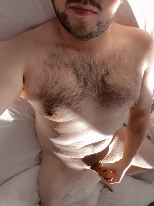 just casually lounging in the sun M29 by burakvsb