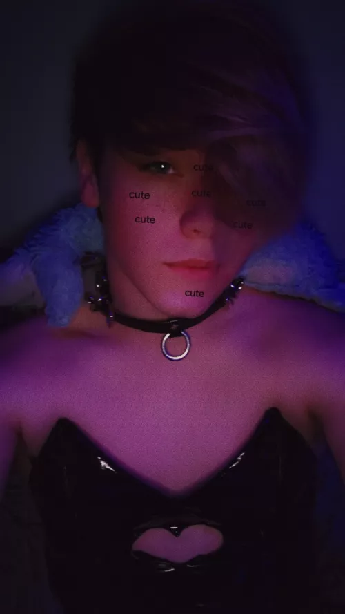 Meet pancake😁 by Junior-Researcher720