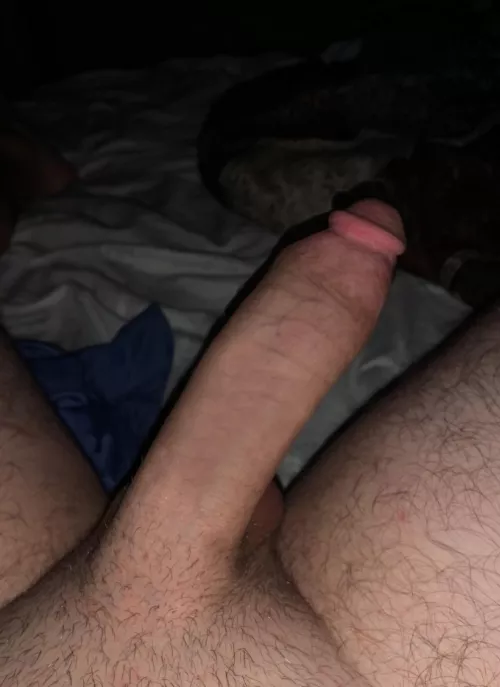 need somewhere to put this by Garlicbread_God