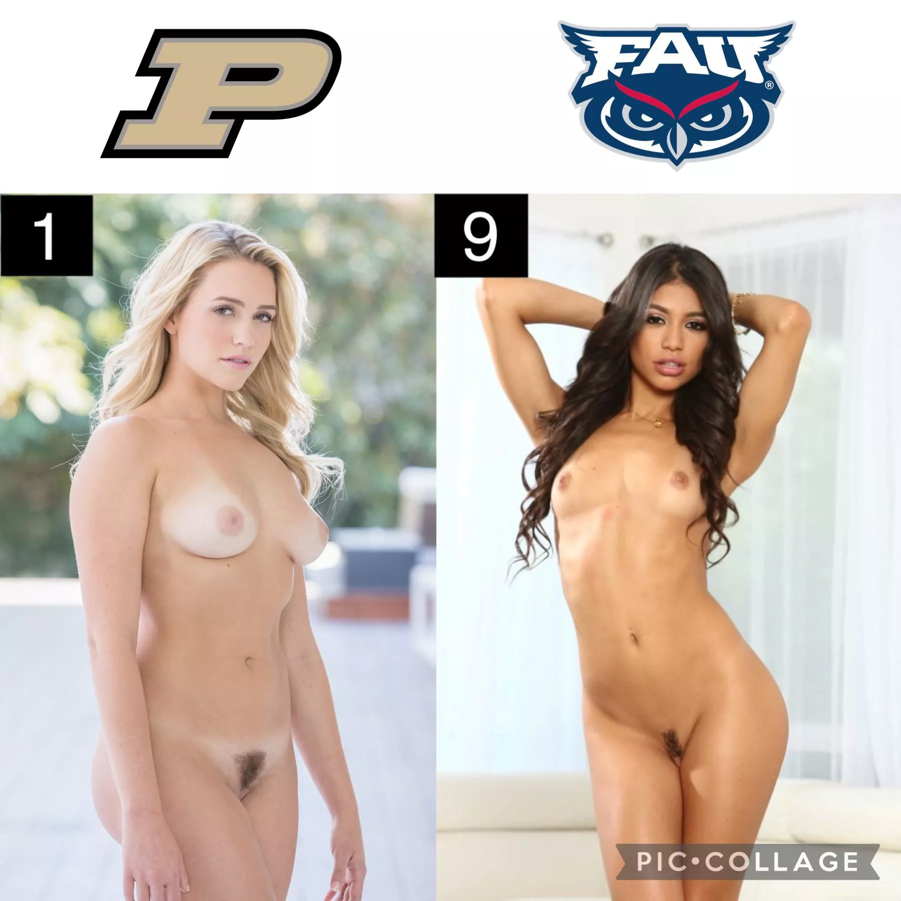 Pornstar March Madness: Round of 32 [Mia Malkova] vs [Veronica Rodriguez] posted by Suspicious-Eagle9537
