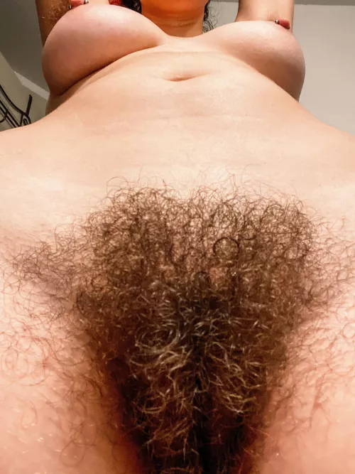 Rate my bush 1-10 by pixelatedslut