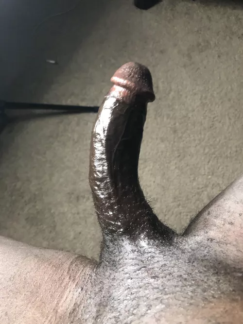 Rub one out? by CapoShotta