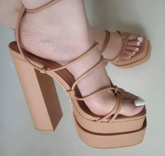 Taking applications to be my stepping stone posted by bigbootymami19