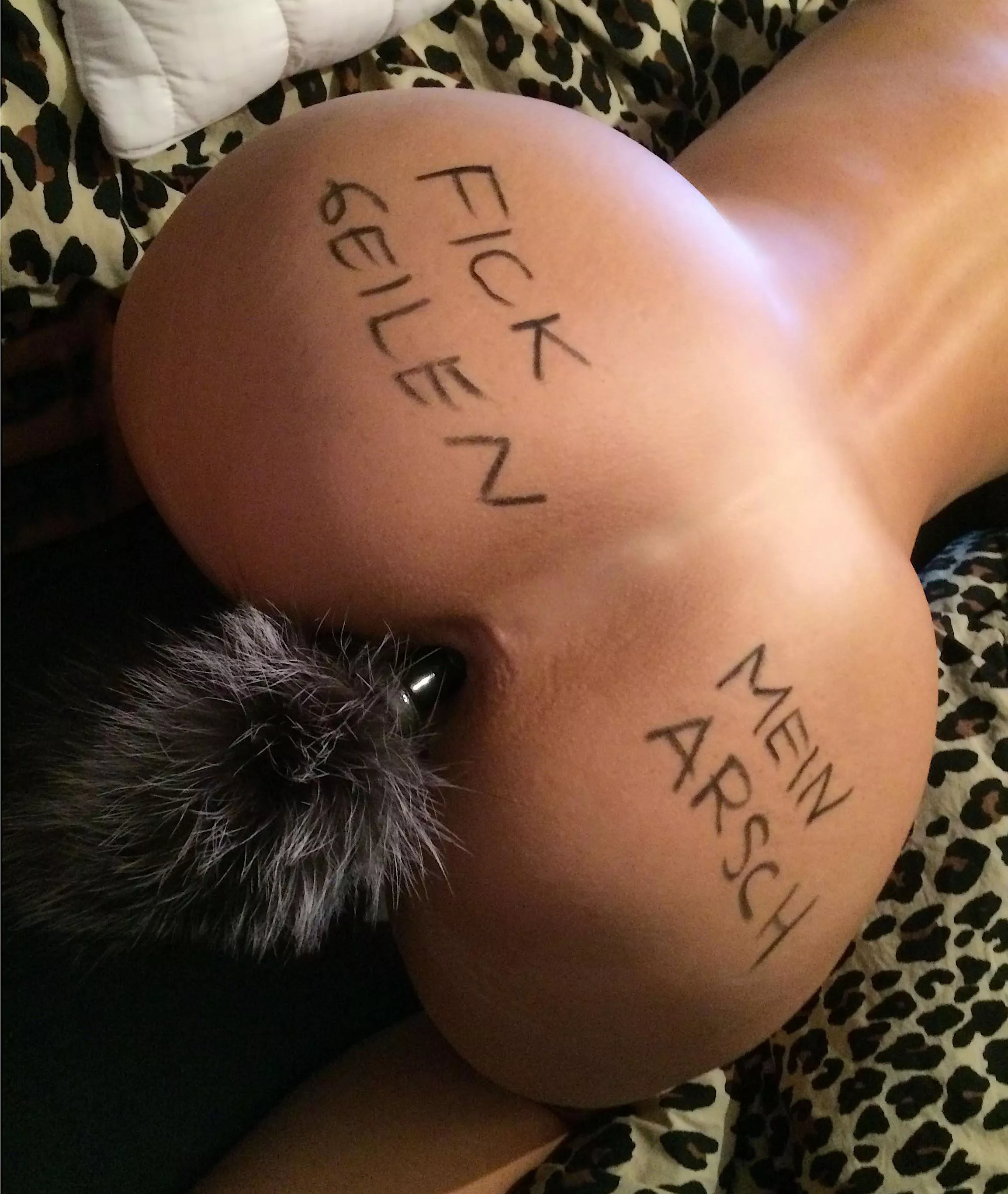 Whatever you want posted by Historical-Door9939