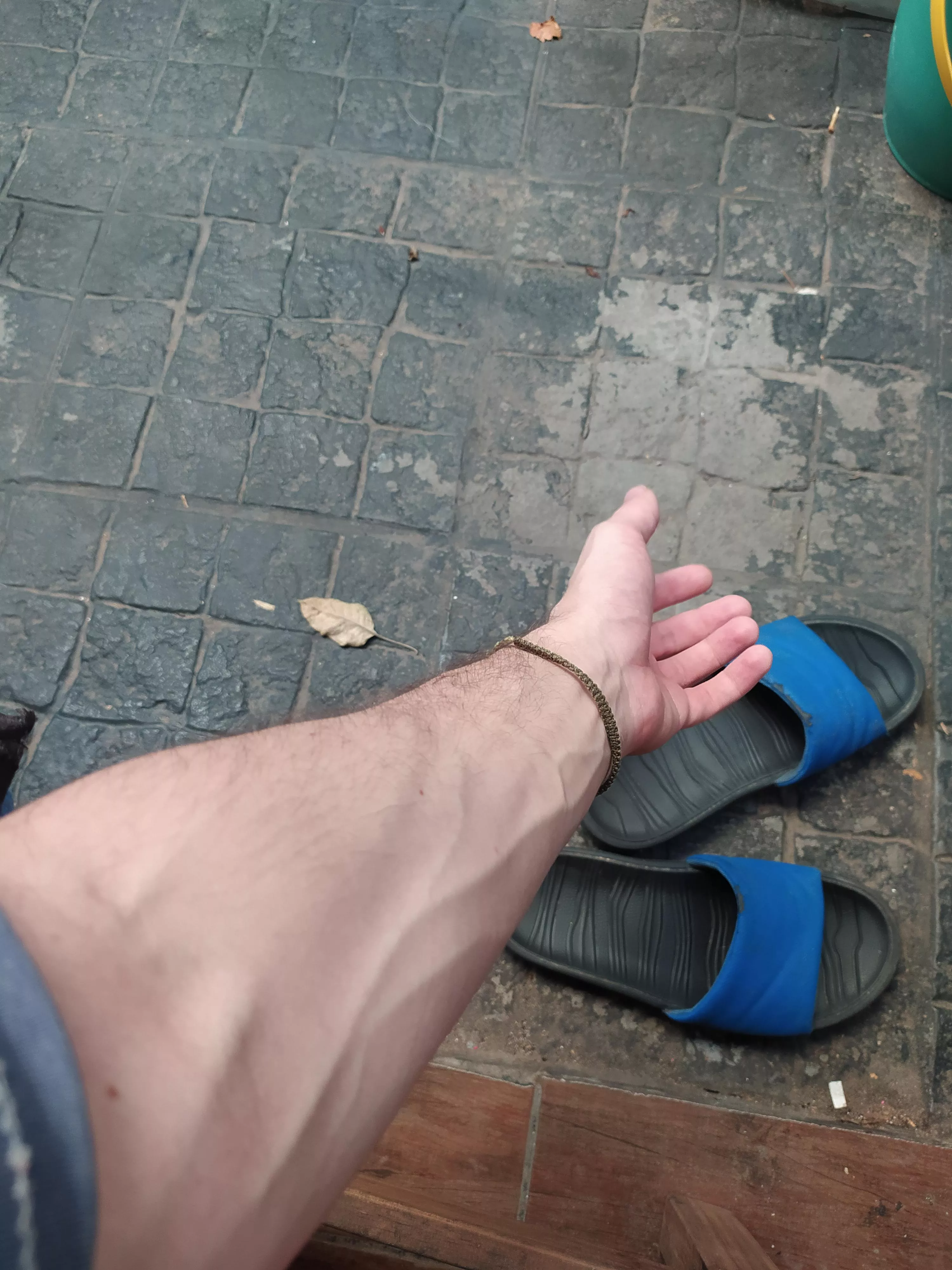 What's up, i'm new here ✨ posted by AnusnymousJake