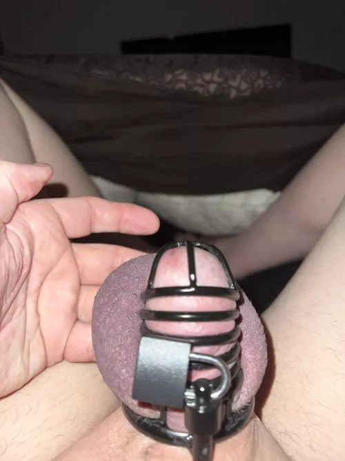 18 days and waking up hard or at least trying to get hard by Dapper_Highlight5223