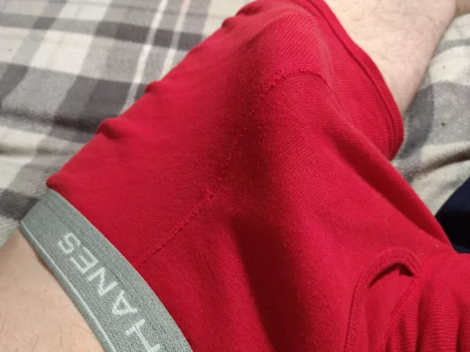 [22] Your bog standard random erection scenario ~ by 620710_Albert