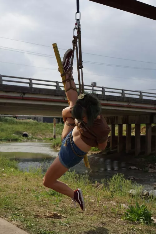 Bird of paradise by DisasterEditionAt9