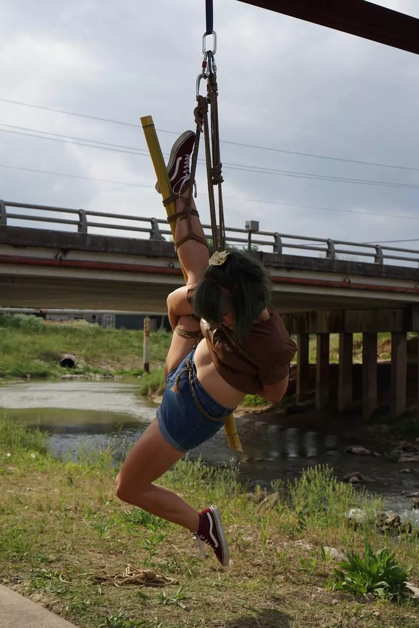 Bird of paradise posted by DisasterEditionAt9