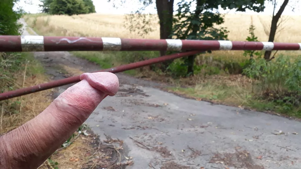 Boom Barrier posted by Hardy969