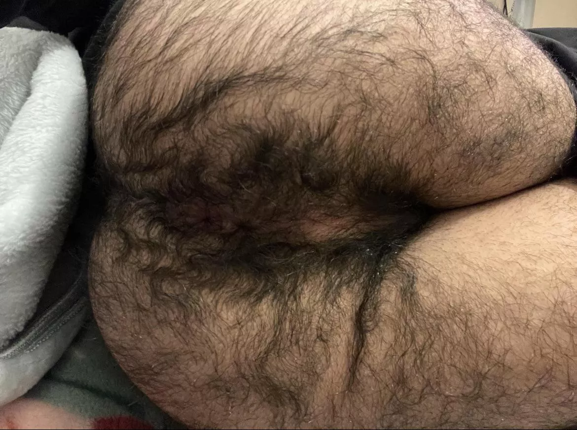 Do I count as a bear😋 posted by hairyboypussy