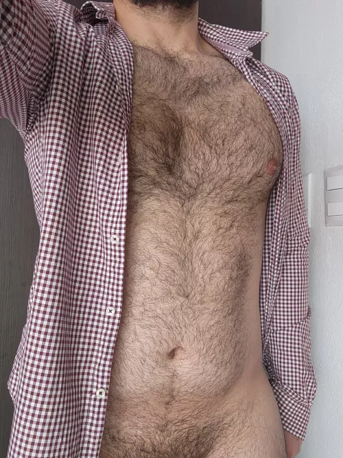 Hairy chest ready to hit the office 🐻 by musclebearxxx