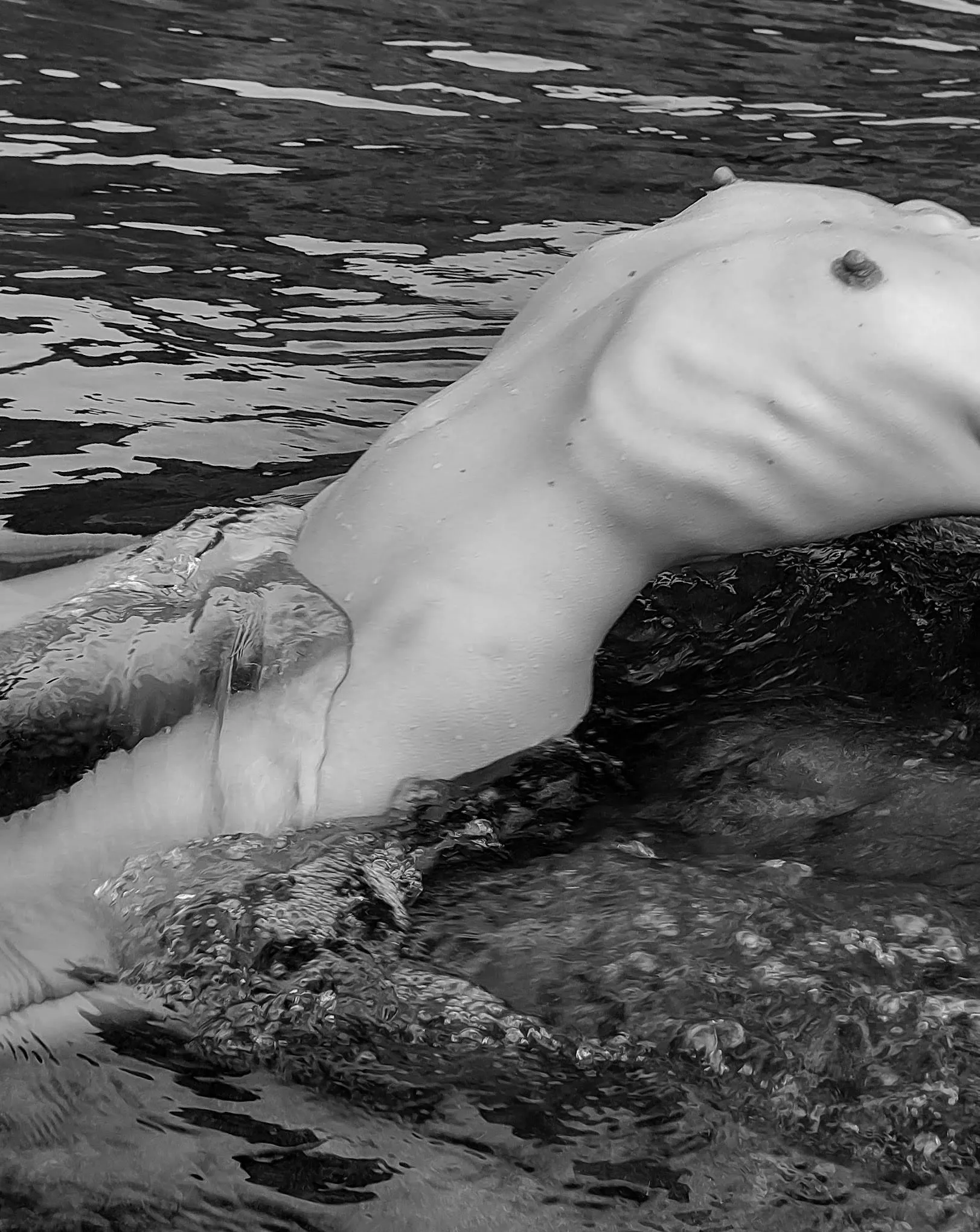 Having love in the sea posted by vulpesnudista