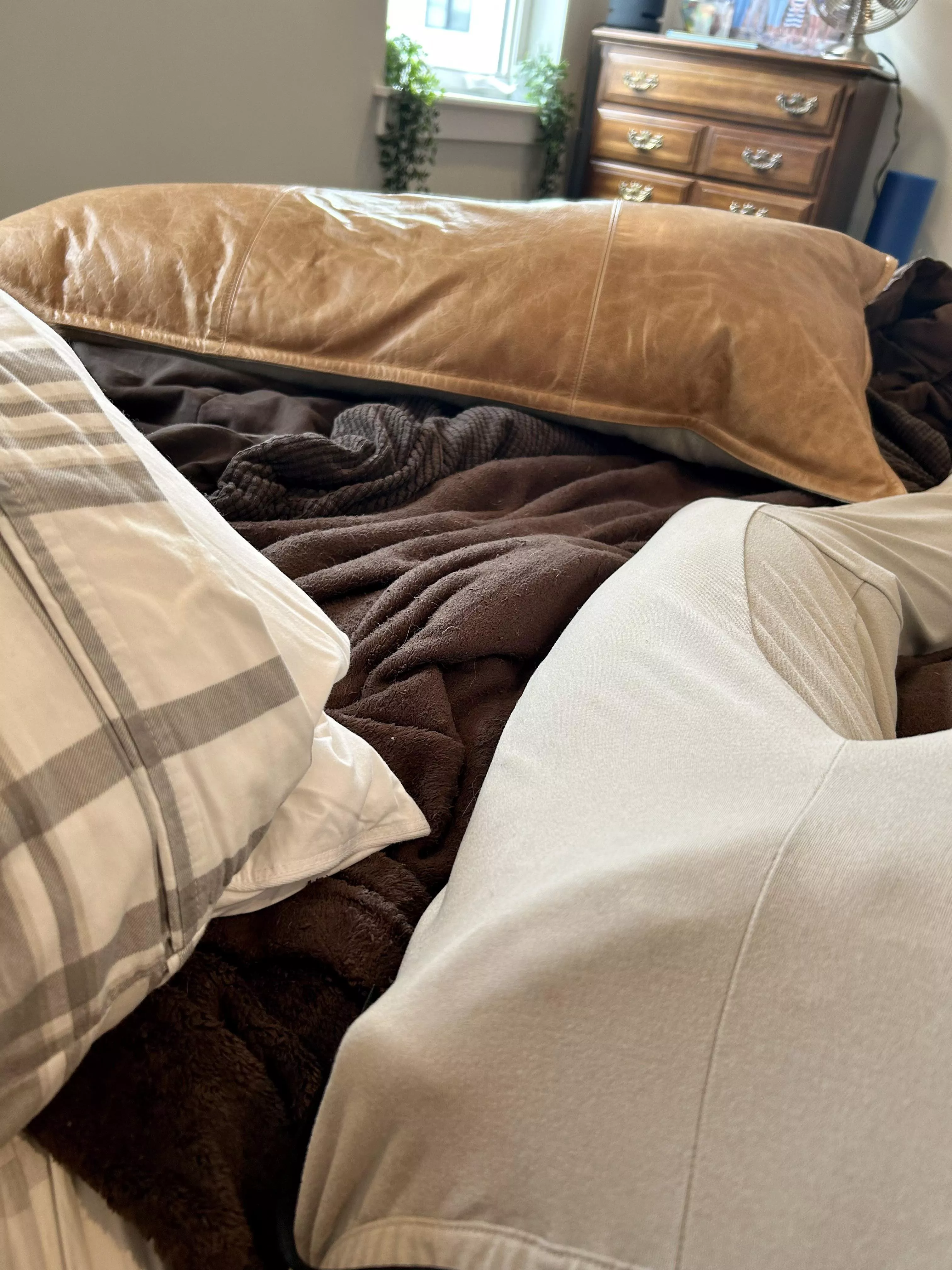 He needs some attention… posted by nsfw593