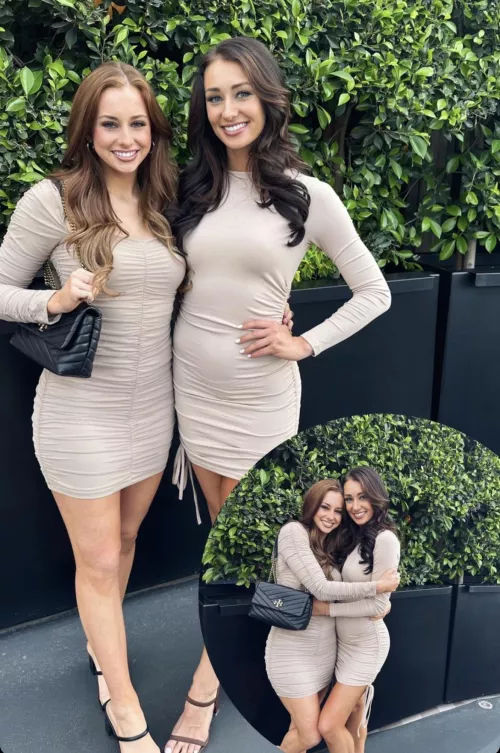 Left or right by Mseecums