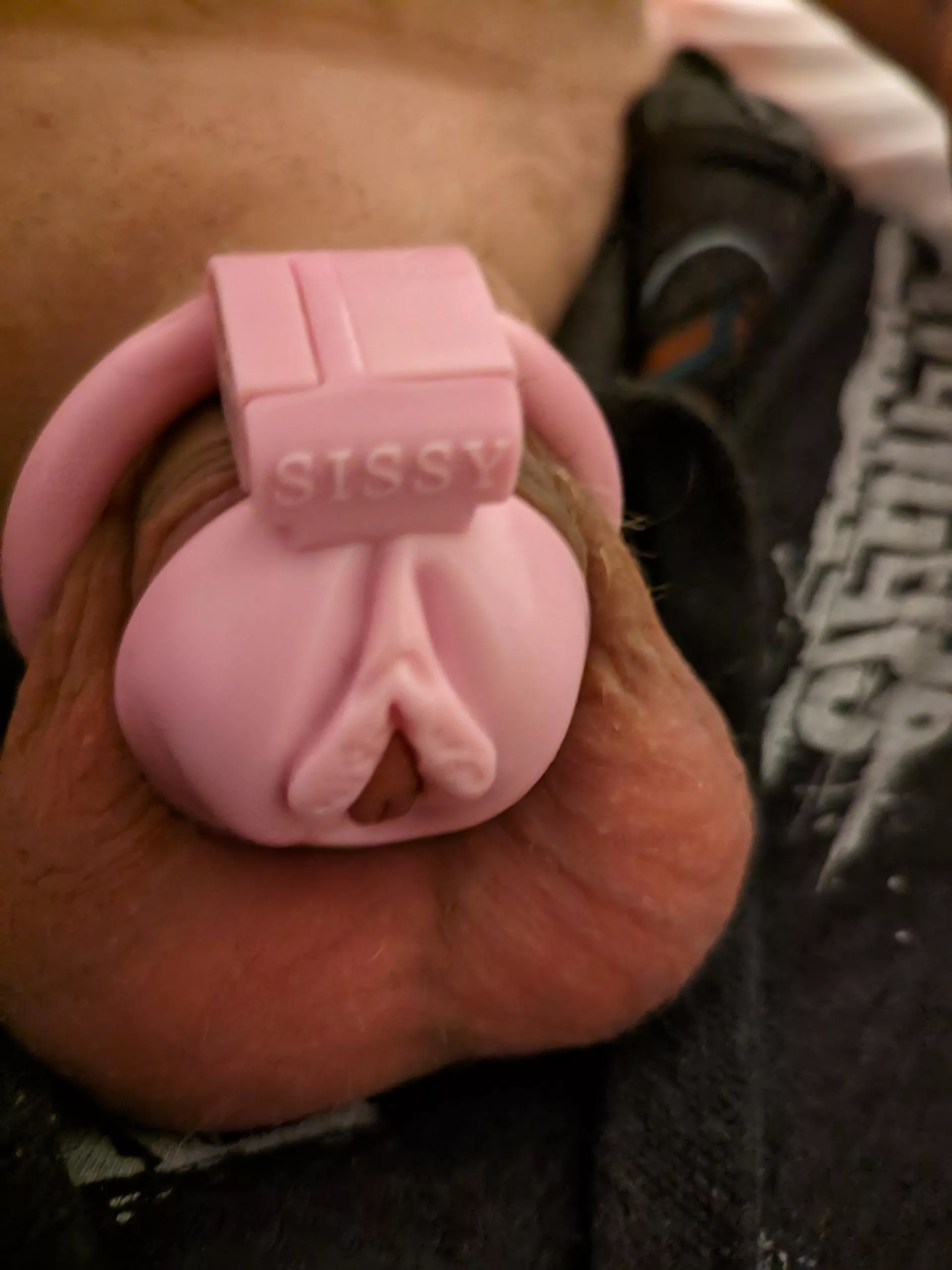 New cage posted by ImplydIMP