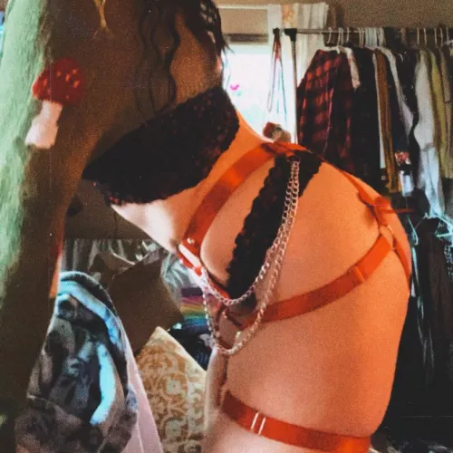 New harness😘 by AudienceSuccessful18