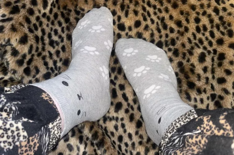 purrfect paws [SELLING] by Top_Peace_5439