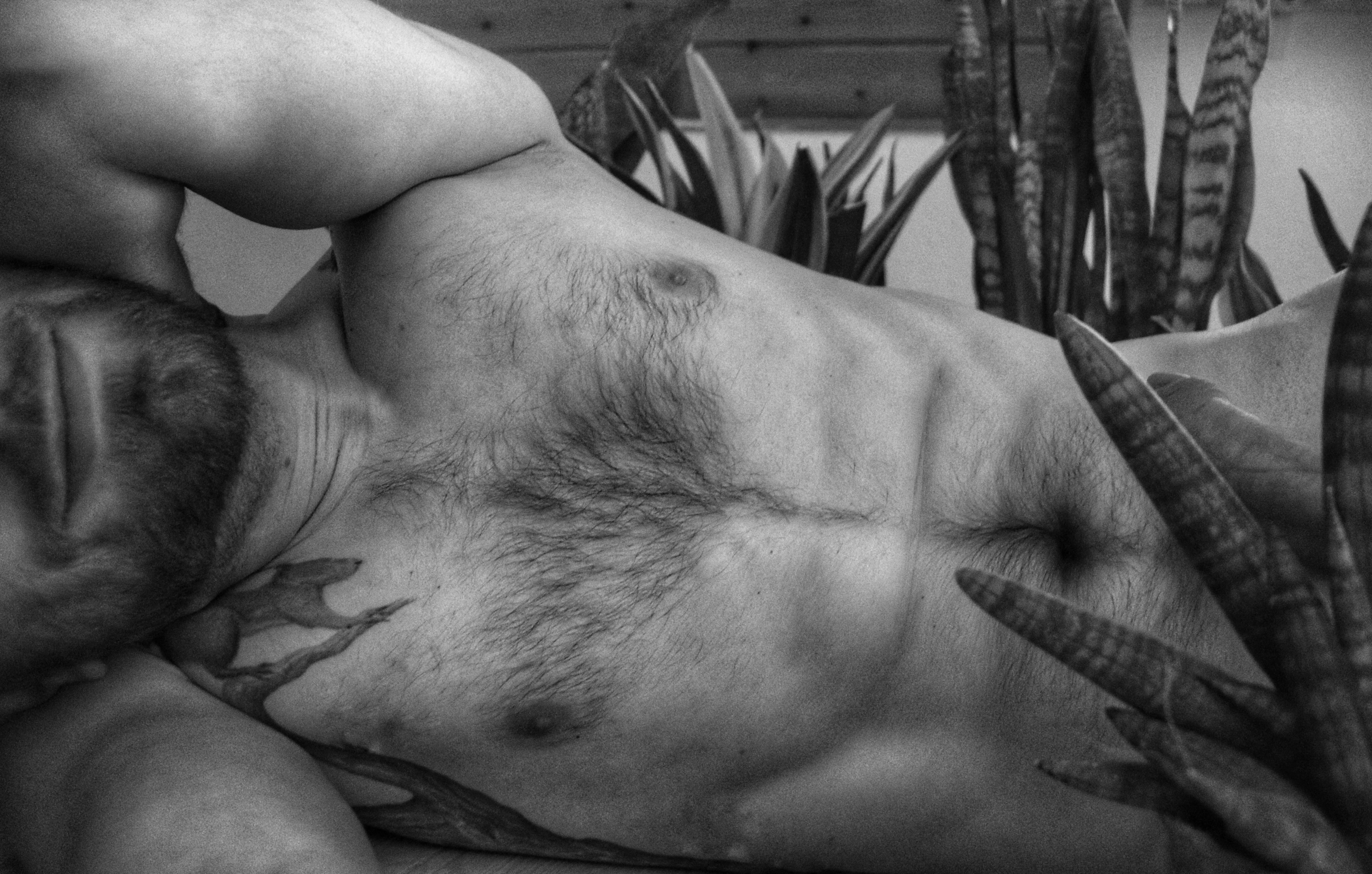 Sansevierias make me feel stress-free posted by hoverflysmile