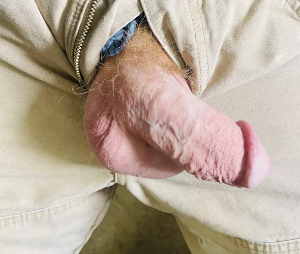 Soft ginger… by Relevant_Junket6404