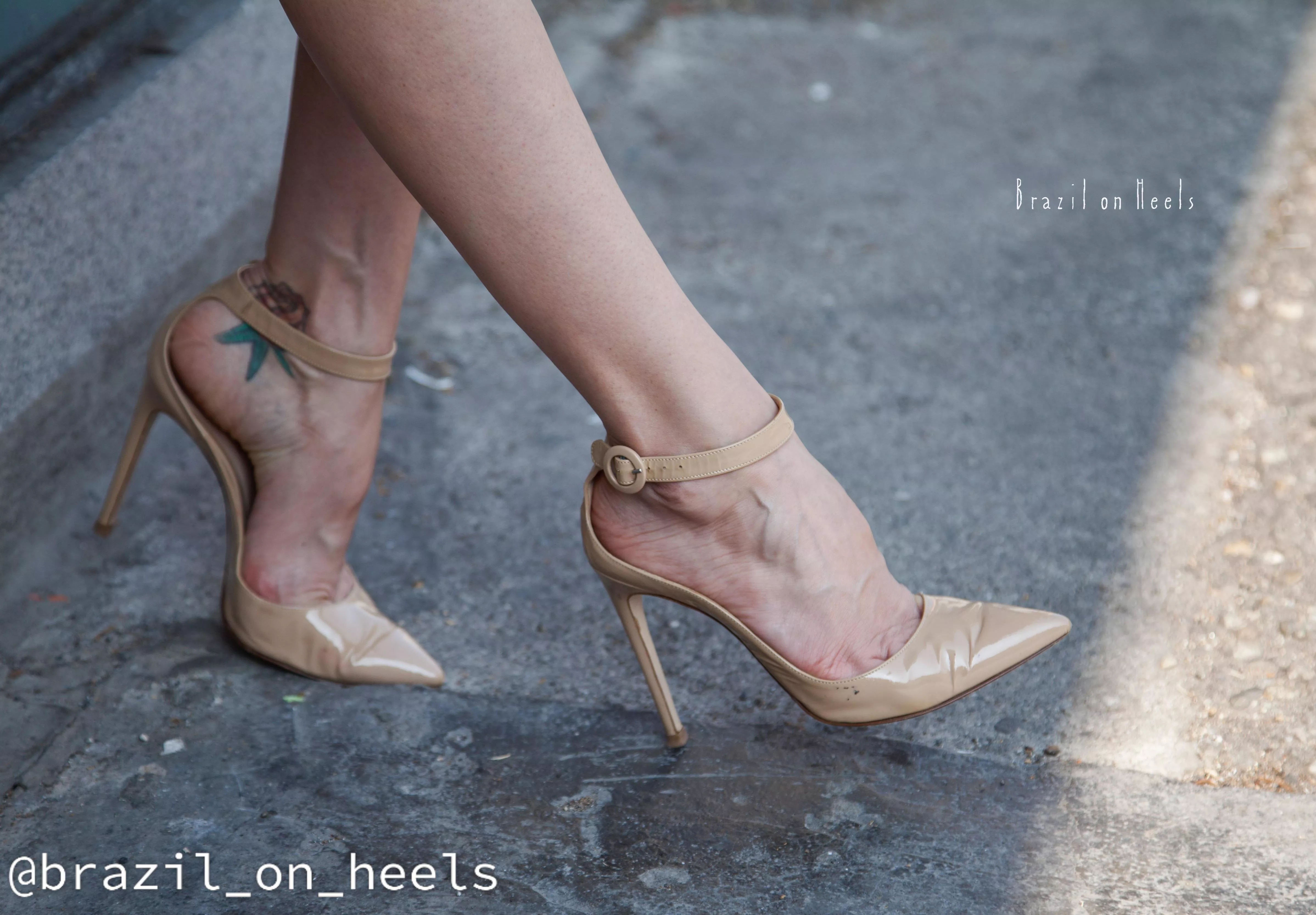 Spring is here. posted by brazil_on_heels