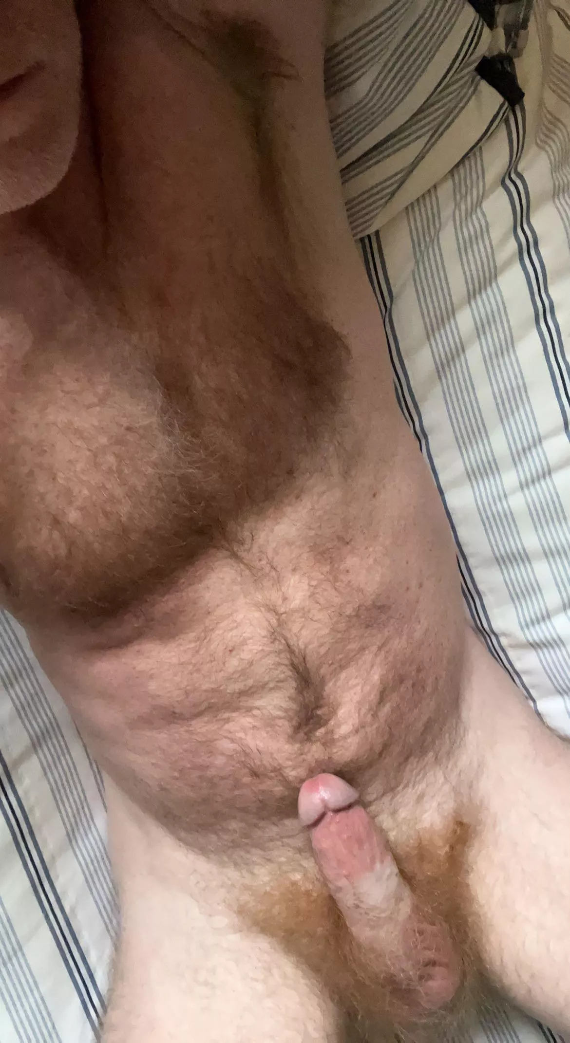 Tongue bath needed [44] posted by SomeOtterGuy4