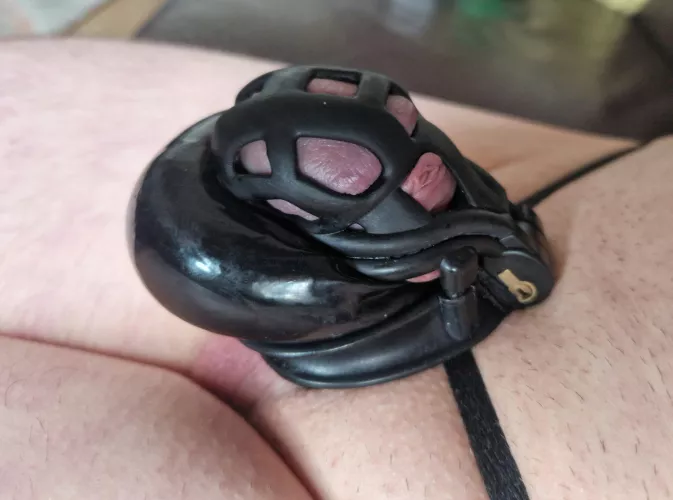 A little restricted. by Ok-Fee1573