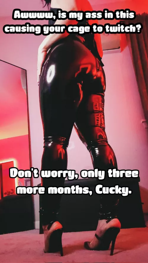 all dressed up for My bull. by MistressVeraOfficial