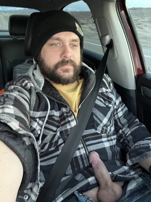 Any takers for my copilot? [35] by ParticularBit3366