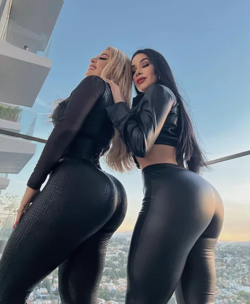 Blonde or brunette? by chocolatemoose99