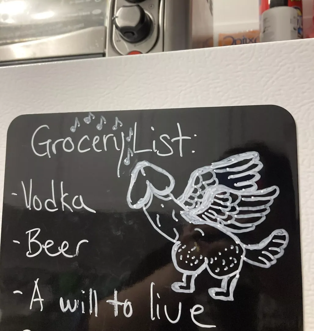 Drew a phallus bird on a friends grocery list - fits the vibe by tacticalferret