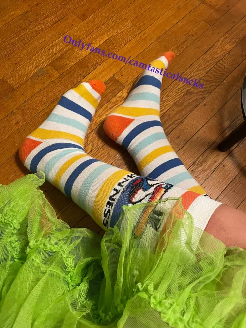 Guinness Striped Knee Socks by camtasticalsocks