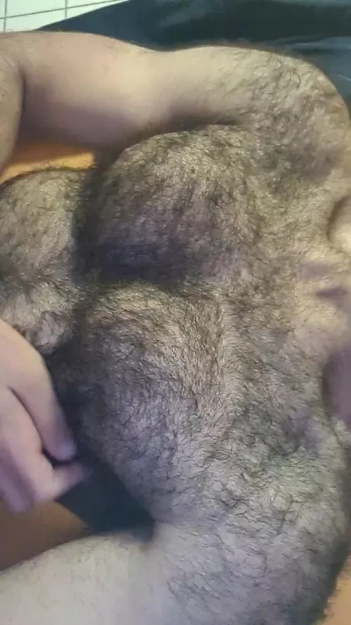 Hello 🐻 by nougatcub