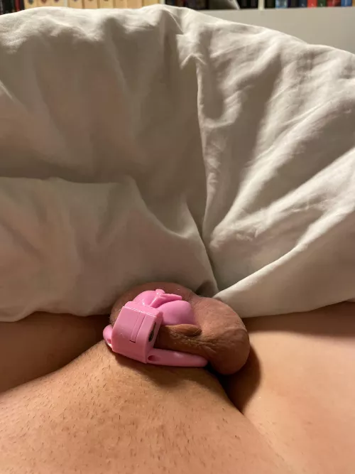 I think I just permalocked unwillingly… by Shinshe119