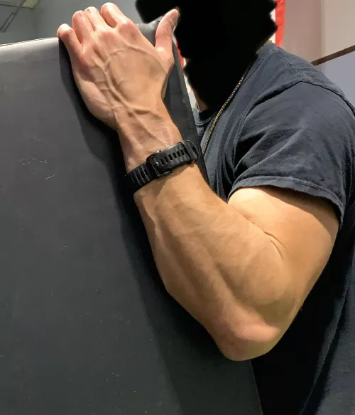 Need help with moving any large objects? by AcidicFitDick