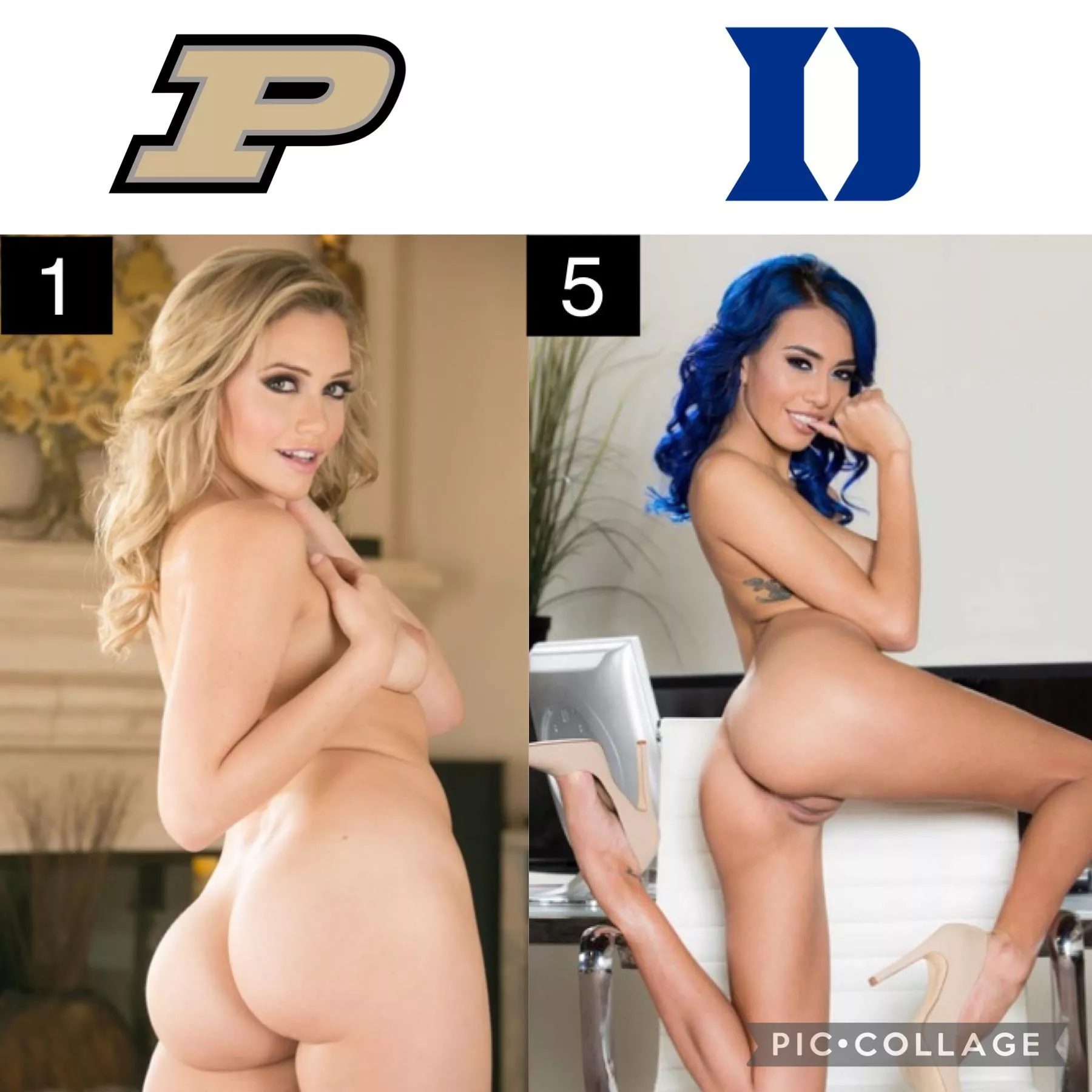 Pornstar March Madness: Sweet Sixteen [Mia Malkova] vs [Janice Griffith] posted by Suspicious-Eagle9537