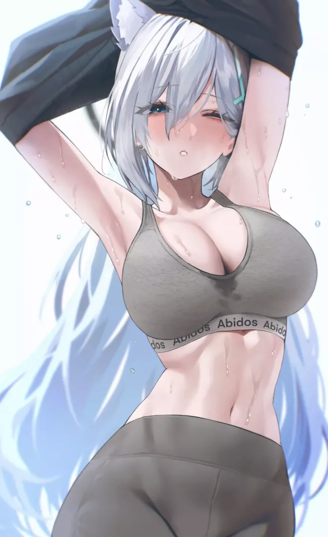 Shiroko [Blue Archive] posted by xSaviour_N