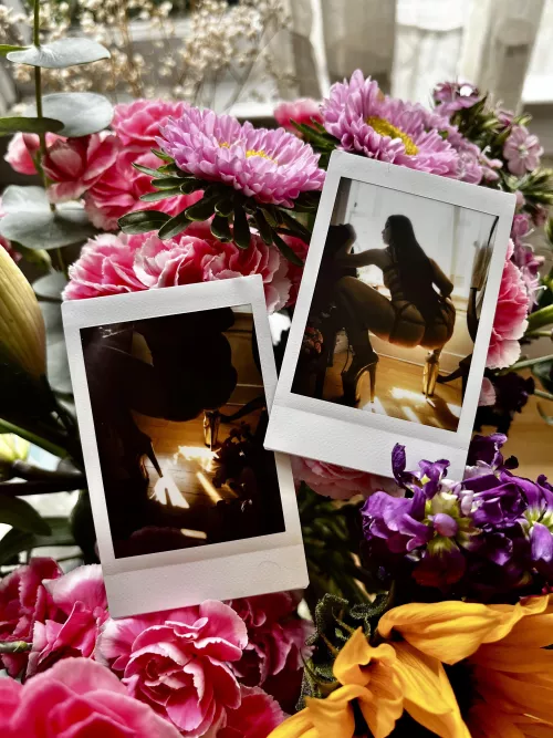 Snapshots from my last session by shanefking