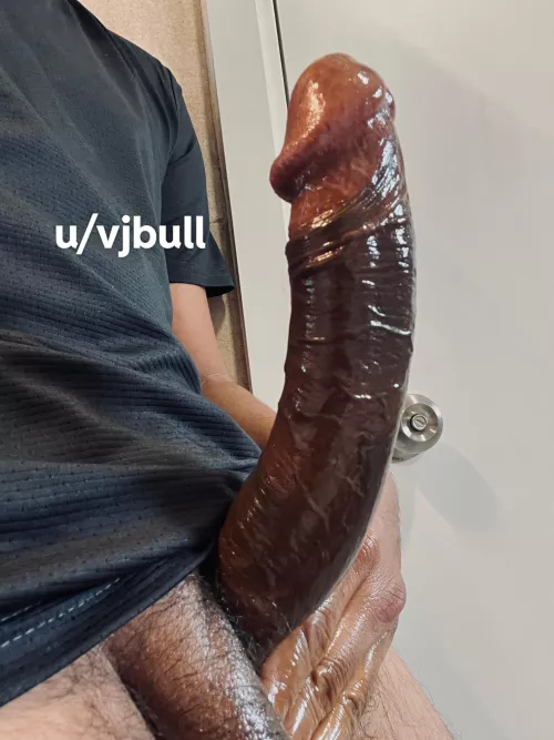 The gun is oiled and loaded by vjbull